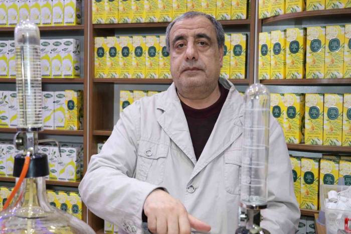 Derecesine Dikkat Edilmeyen Kolonyalar, İnsan Sağlığını Tehdit Ediyor