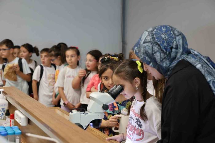 Bilimsel Keşif Yaptılar