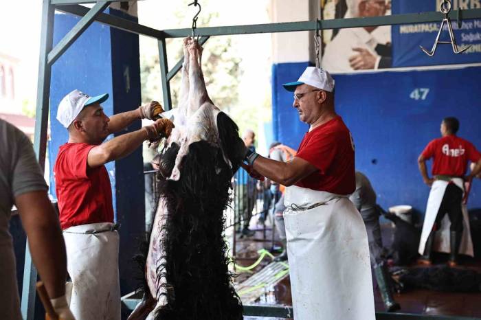Antalya Büyükşehir Belediyesi’nden Hijyenik Ortamda Ücretsiz Kurban Kesim Hizmeti