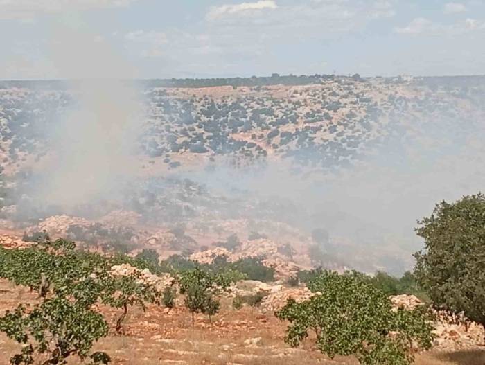 Gaziantep’te Fıstık Ve Zeytin Bahçelerinde Yangın
