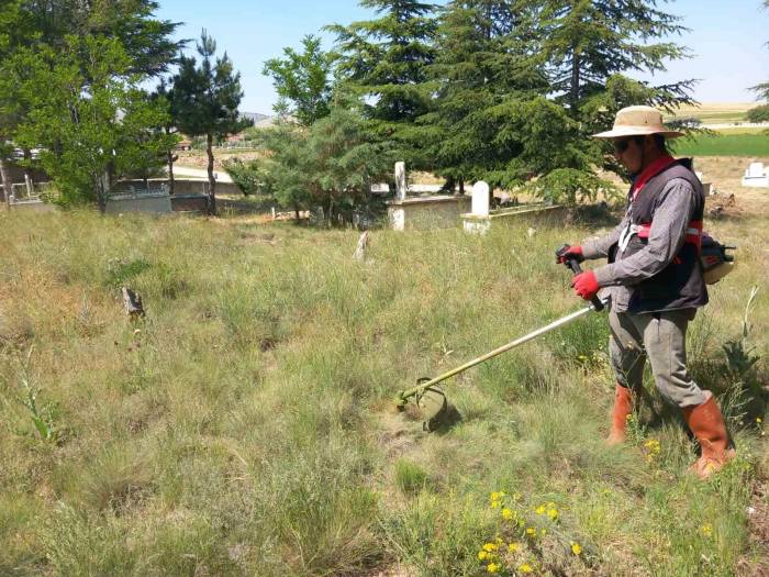Yarımca Köyü Yabancı Otlardan Temizleniyor