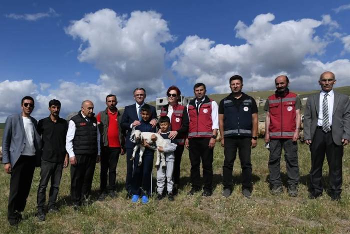 Van’da 3 Yılda 2 Bin 375 Çiftçiye 235 Bin Koyun Desteği Verildi