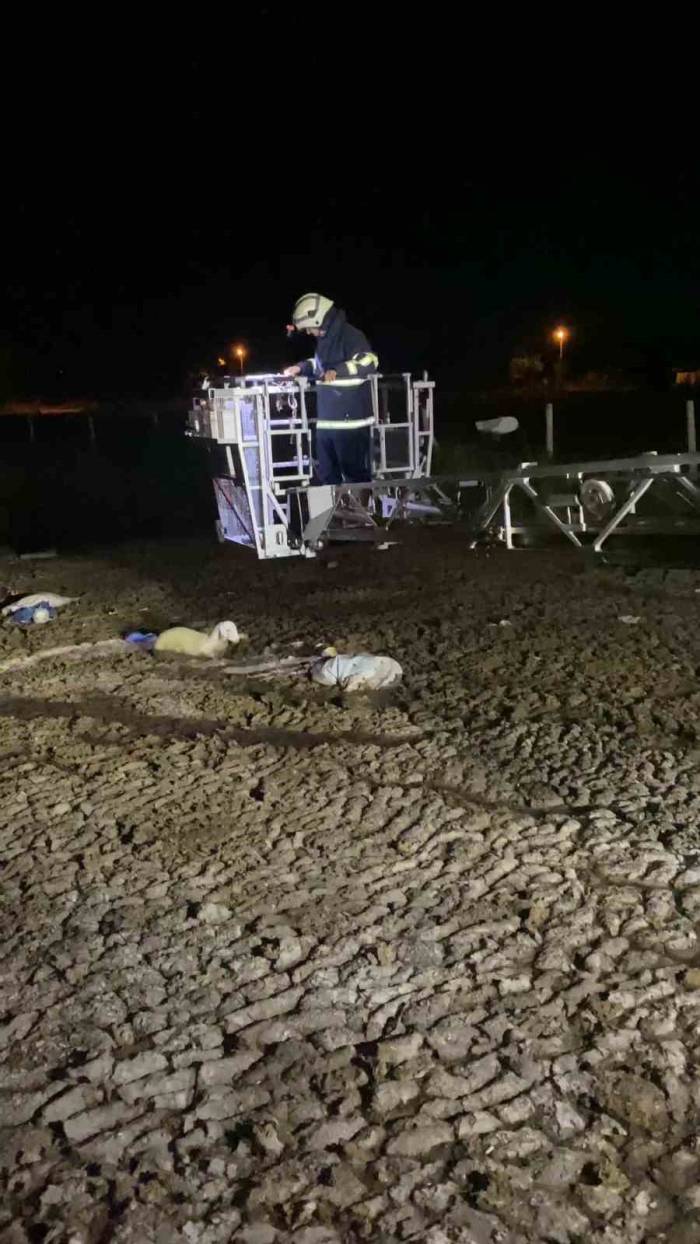 Atık Dökülen Alanda Mahsur Kalan Koyunu İtfaiyeciler Kurtardı