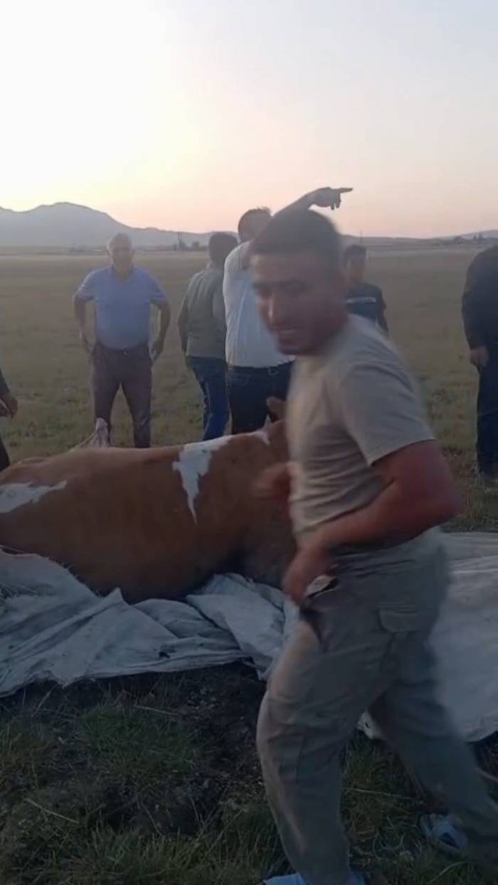 Arin Gölü’nde Çamura Saplanan İnek Kurtarıldı