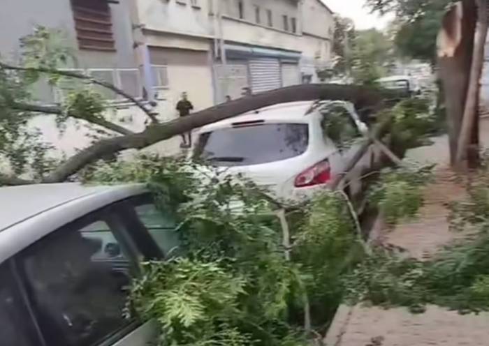 Gaziantep’te Şiddetli Fırtına: Ağaçlar Devrildi, Araçlar Zarar Gördü, Toz Bulutu Etrafı Kapladı