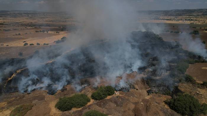 Ekili Alanda Çıkan Yangın Kısa Sürede Kontrol Altına Alındı