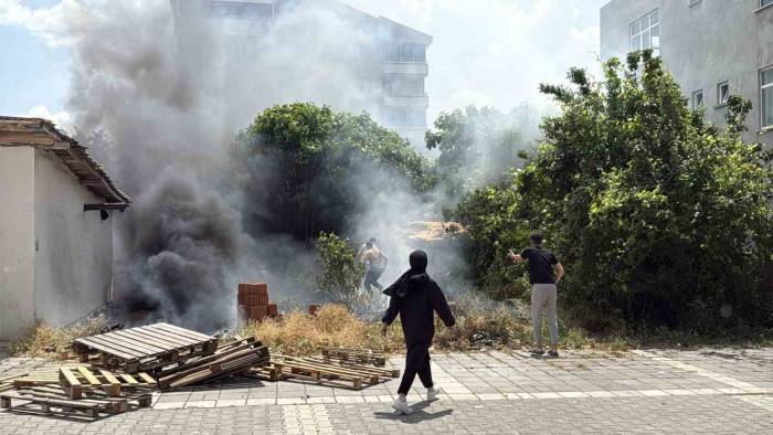 Alevler Arasında Kalan Köpekler Son Anda Kurtarıldı