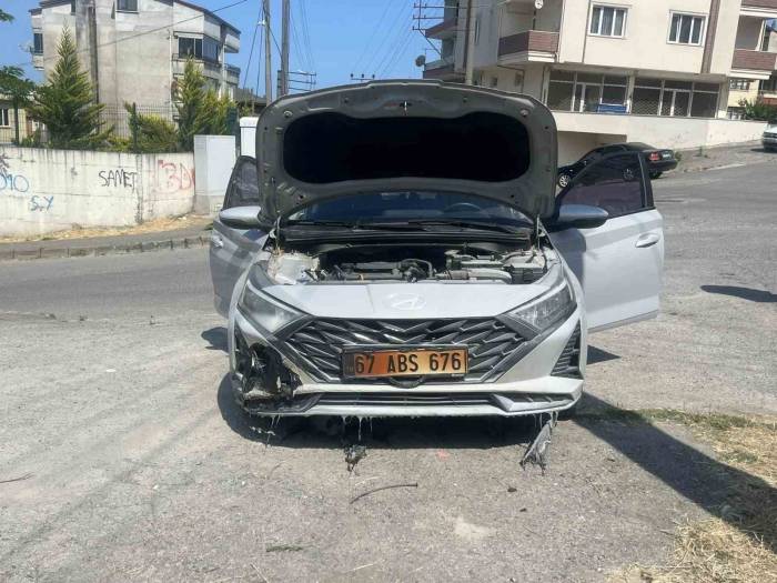 Kopan Elektrik Telleri Otları, Otlarda Aracı Yaktı