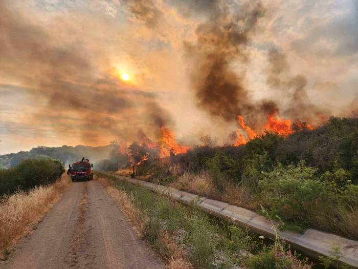 Ak Partili Gider, Orman Yangınlarına Karşı Vatandaşları Sorumluluk Ve Duyarlılığa Davet Etti