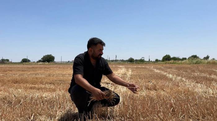 Uzmanlar Ve Çiftçiler Anız Yakmanın Zararlarına Dikkat Çekti