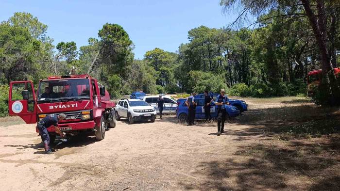 Manavgat’ta Çalılık Yangını Büyümeden Söndürüldü