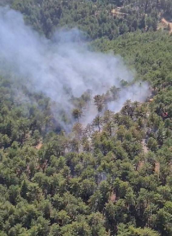Denizli’de Orman Yangınına Havadan Ve Karadan Müdahale Ediliyor