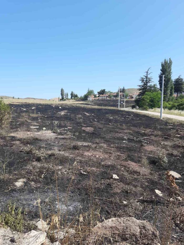 Torpilden Çıkan Yangında 15 Dönümlük Arazi Kül Oldu