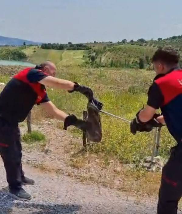 Gediz’de Yılan Ve Kene Alarmı