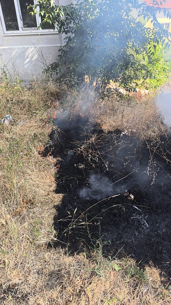 Temizlik Amaçlı Yakılan Otlar Kontrolden Çıktı