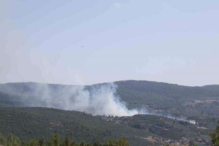 Menteşe’de Çıkan Yangın Kontrol Altına Alındı