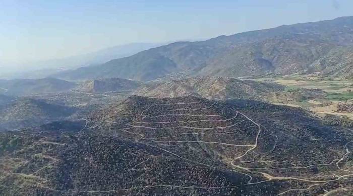 Aydın’daki Yangın Kontrol Altına Alındı