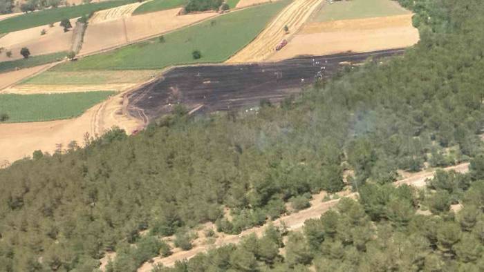 30 Dönümlük Buğday Tarlası Küle Döndü
