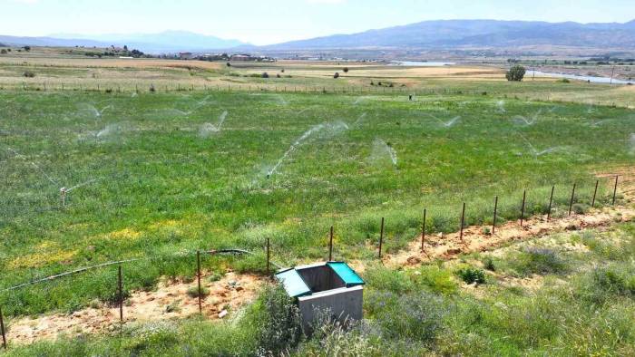 Bingöl’de 182 Bin Dekar Alan Sulanacak