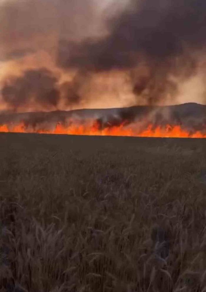 Diyarbakır’da Buğday Tarlasında Anız Yangını