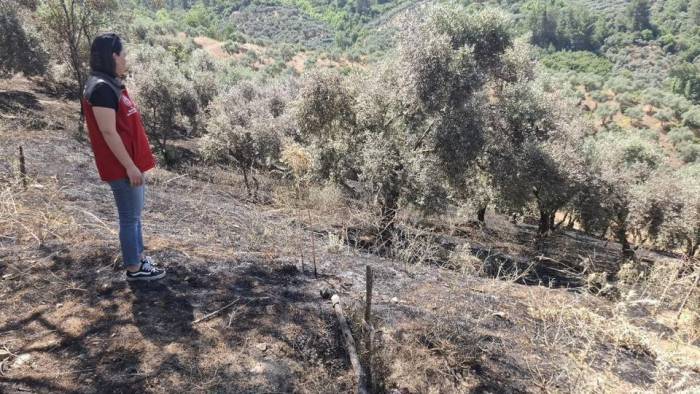 Yeşilyurt’taki Yangında Zarar Gören Tarım Alanlarında Hasar Tespit Çalışması Yapıldı