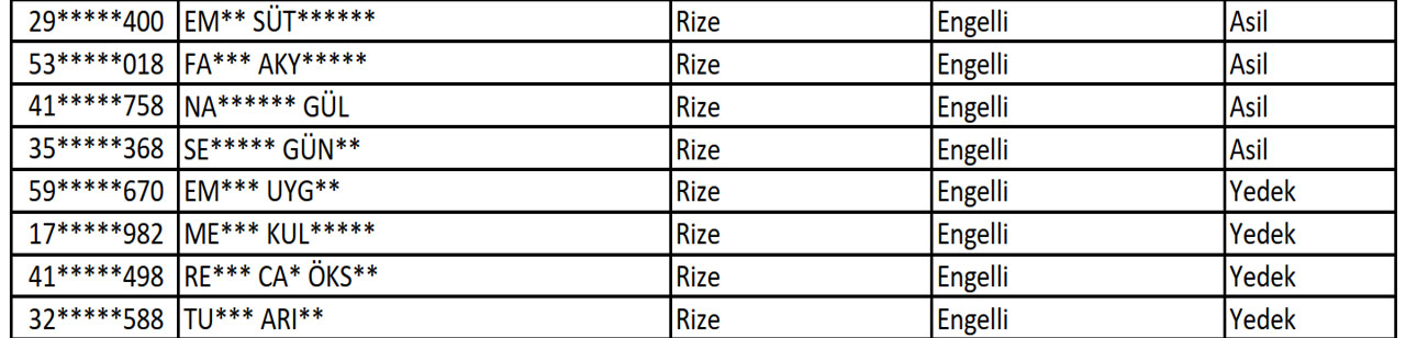 rize-1.jpg