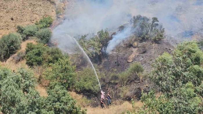 Aydın’daki Yangınlar Kontrol Altına Alındı