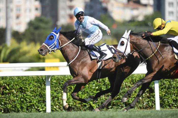 99. Gazi Koşusu’nu Cutha Kazandı