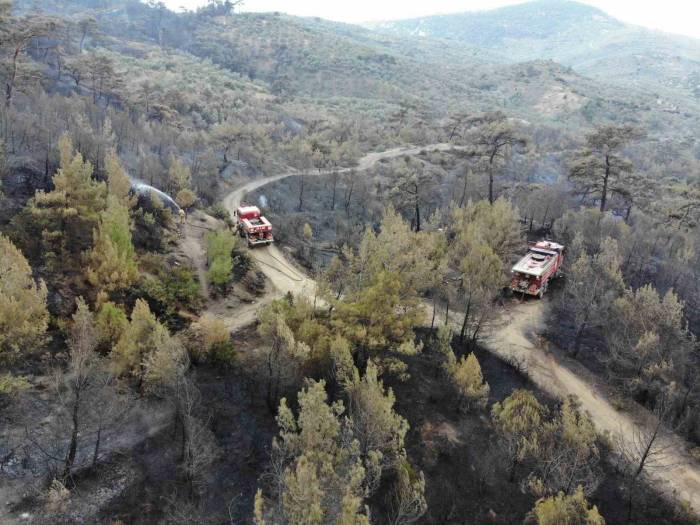 Balıkesir Havran’daki Yangında Havadan Müdahale Sabahın İlk Işıklarıyla Tekrar Başladı