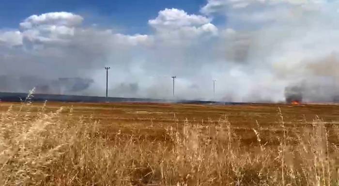 Tekirdağ’da Anız Yangını Mahalleyi Tehdit Etti
