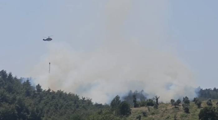 Osmaniye’de Çıkan Orman Yangını Söndürüldü