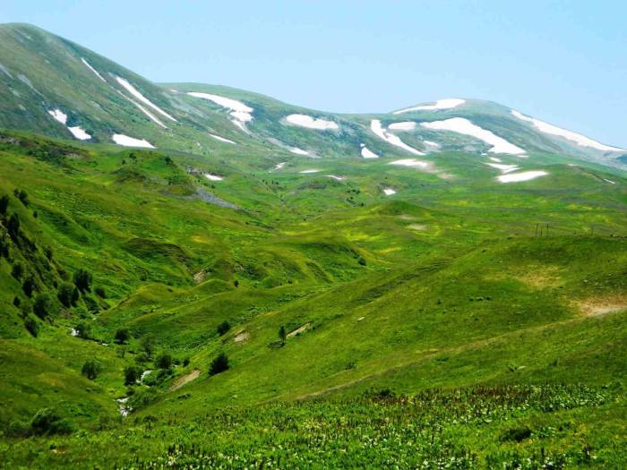 Posof’ta Yayla Mevsimi Başladı
