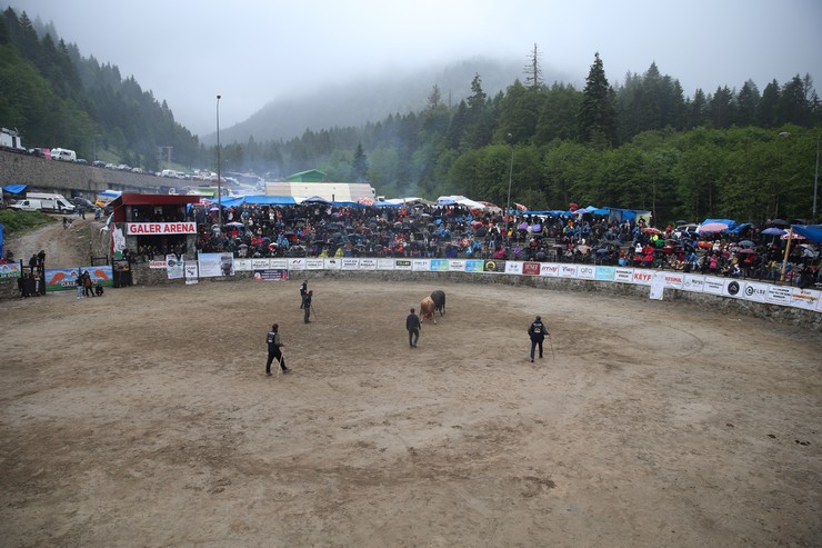 rizede-29-camlihemsin-ayder-kultur-sanat-ve-doga-festivali-boga-guresleriyle-tamamlandi-1.jpg