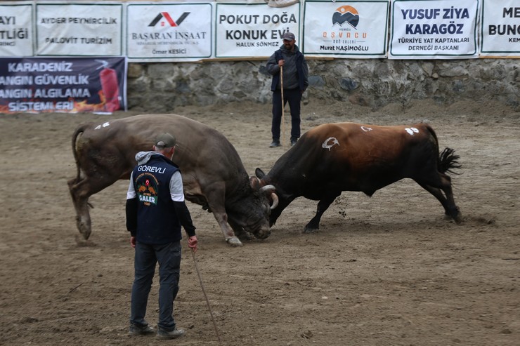 rizede-29-camlihemsin-ayder-kultur-sanat-ve-doga-festivali-boga-guresleriyle-tamamlandi-9.jpg