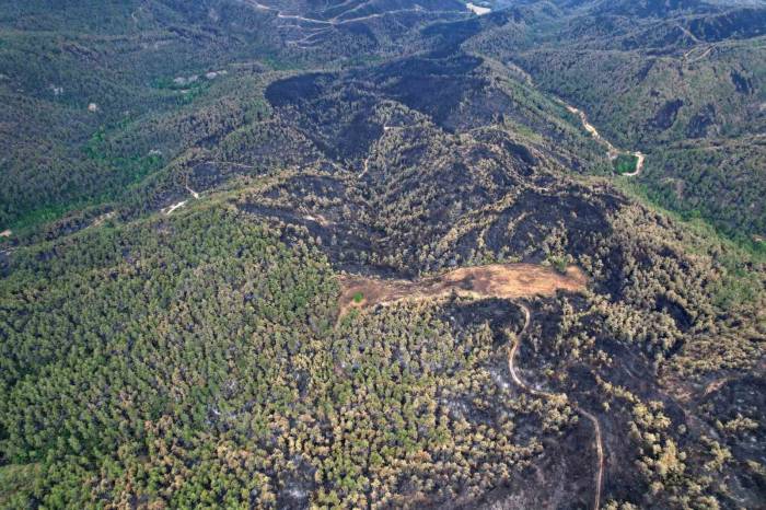 Yeşilin Tonlarının Yanarak Siyaha Büründüğü Alanlar Havadan Da Görüntülendi