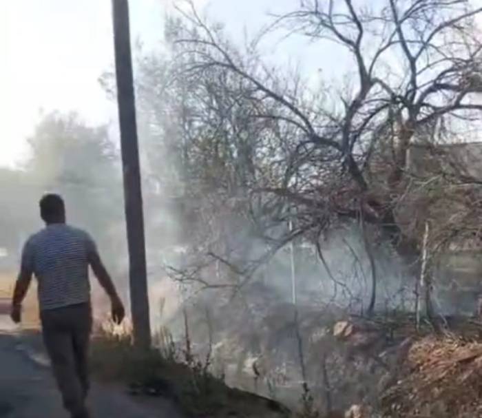 Malatya’da Bahçe Yangını