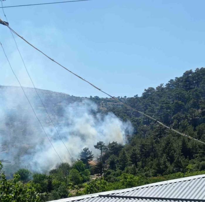 Mersin’deki Orman Yangını Kontrol Altına Alındı