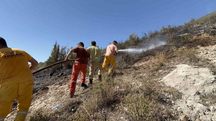 Hatay’da Orman Yangını Kısa Sürede Kontrol Altına Alındı