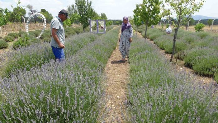 Hobiyle Başladılar, Geçim Kaynağına Dönüştü