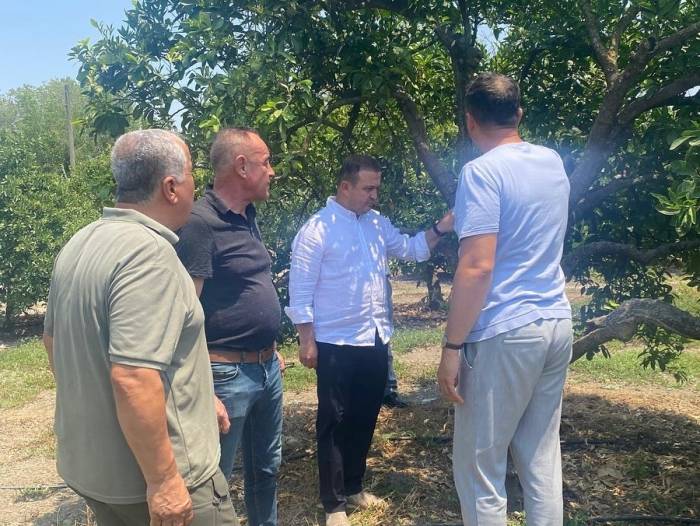 Tarıma Yerinde Rehberlik Üreticilerin Sorunları Dinlendi, Çözüm Önerileri Sunuldu