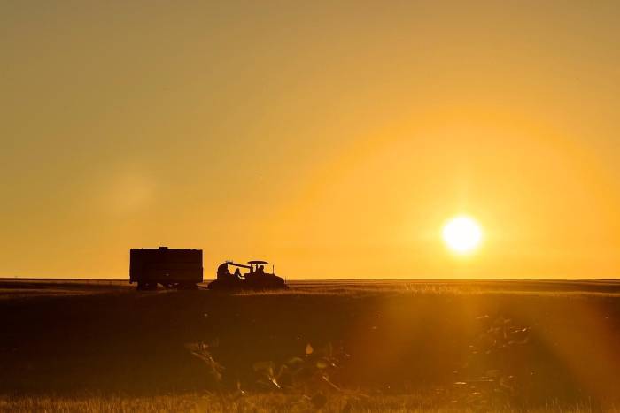 Ağrı’da Gün Batımıyla Harman Mesaisi
