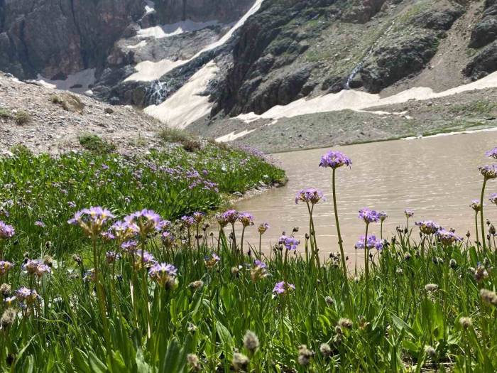 Cilo Dağı’nda Buzullar Hızla Eriyor