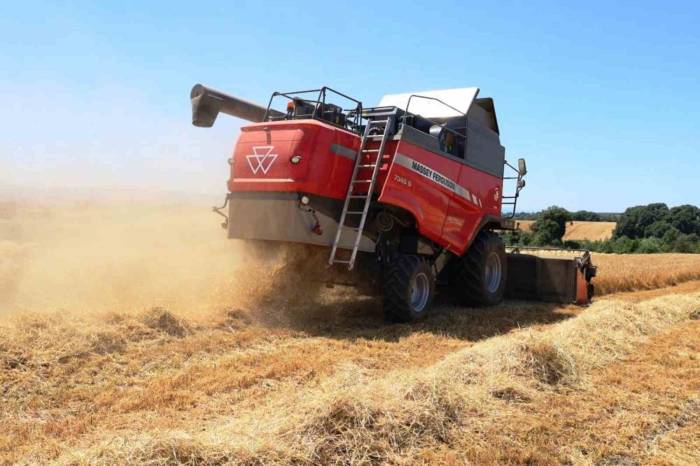 Sebzede Lider, Meyvede Güçlü, Tarımda Marka Şehir: Samsun