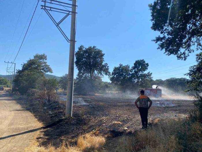 Bilecik’te Ormanlık Alana Sıçrayan Yangına Müdahale Ediliyor