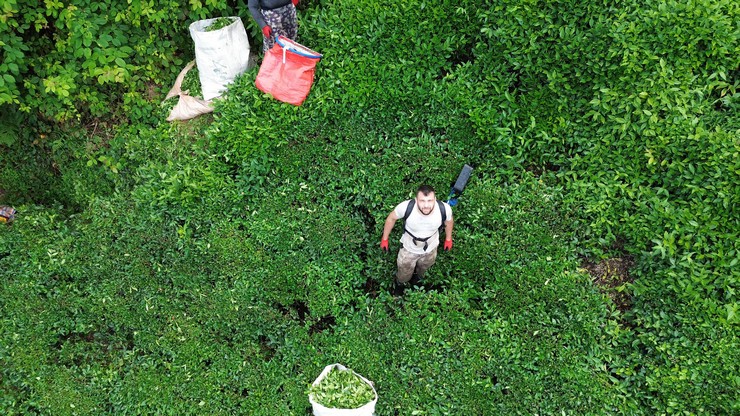 rizede-cay-mustahsili-eve-uzak-olan-arazisine-dron-ile-su-tasidi-8.jpg