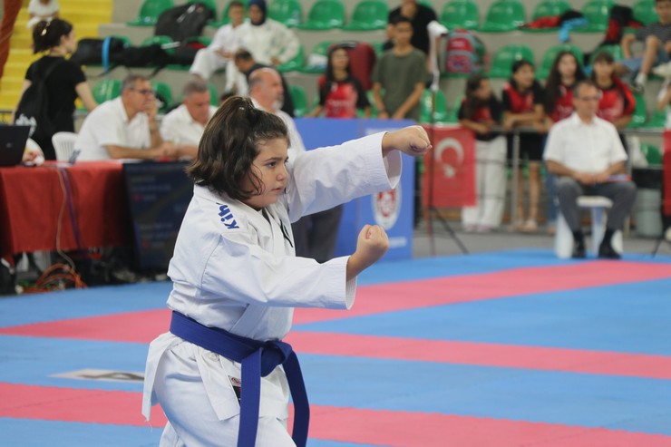 karadeniz-ve-hazar-ulkeleri-karate-sampiyonasi-rizede-basladi-2.jpg