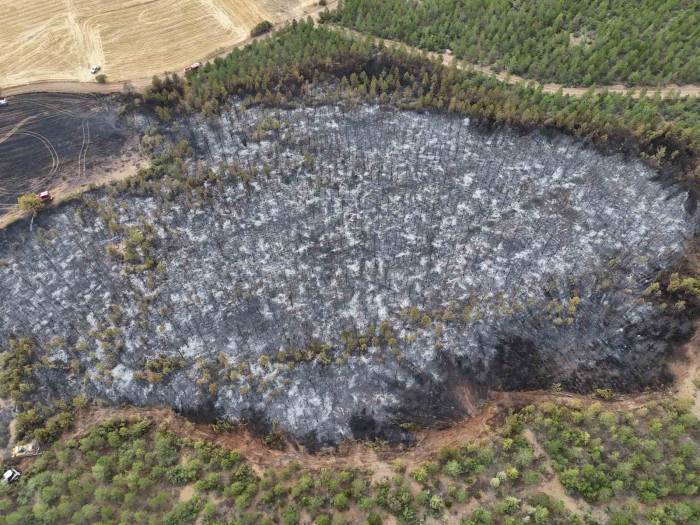 Uşak’ta Ormanlık Alana Sıçrayan Yangın Söndürüldü
