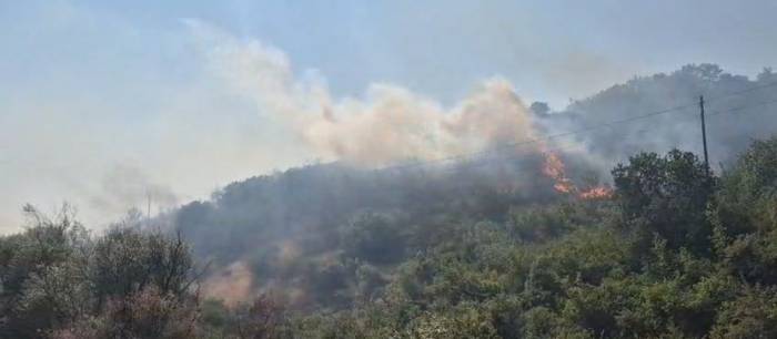 Balıkesir’de Otluk Ve Makilik Alanda Çıkan Yangın Kontrol Altına Alındı