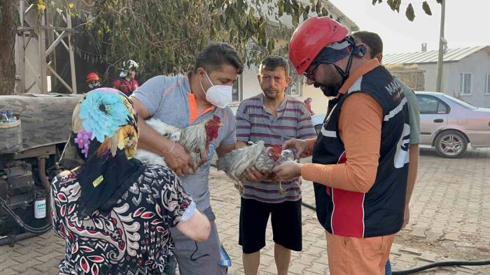 Saçaklı Köyünde Evi Ve Damı Yanan Kadının Dumandan Etkilenen Tavuklarının Yardımına Ekipler Ve Gönüllüler Koştu