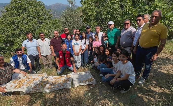 Köşk’te Gönüllü Hasat Şenliği Gerçekleştirildi